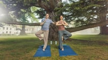 Two people engaged in yoga poses under a large tree at Heythrop Park, showcasing harmony with nature.