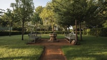 The orchard on the grounds of The Runnymede on Thames Hotel, featuring two benches and many apple trees