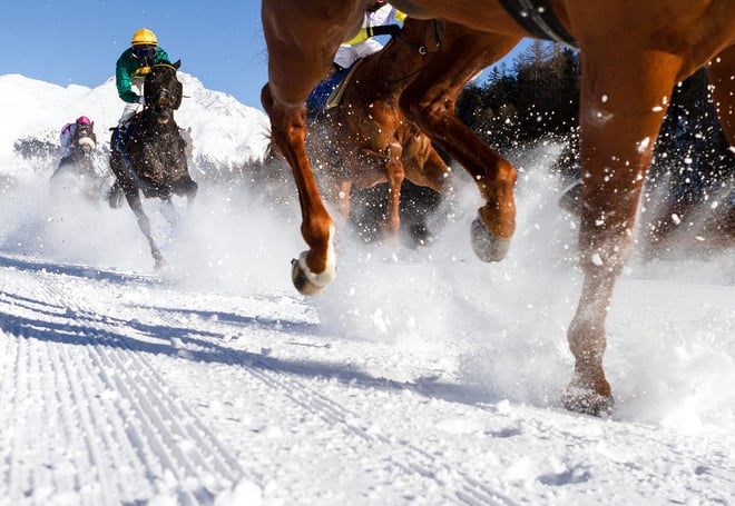 Horses racing on a snow covered race course