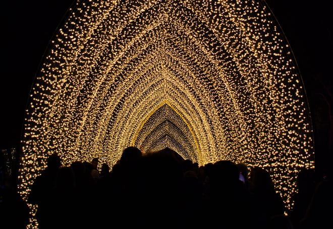 Christmas at Kew light archway