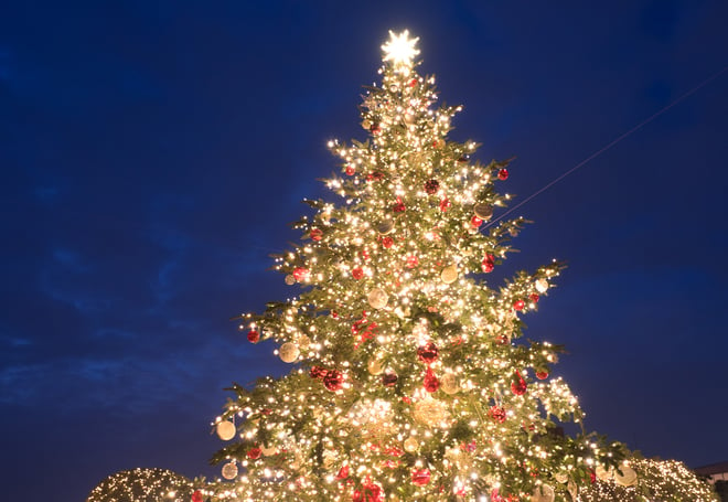 Christmas tree adorned with golden lights against a dark sky