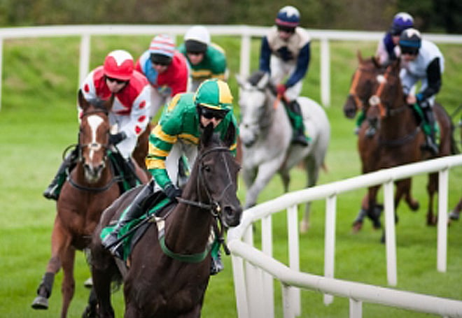 A group of racehorses and jockeys compete on a grassy track, with one horse in the lead curving around a white railing.