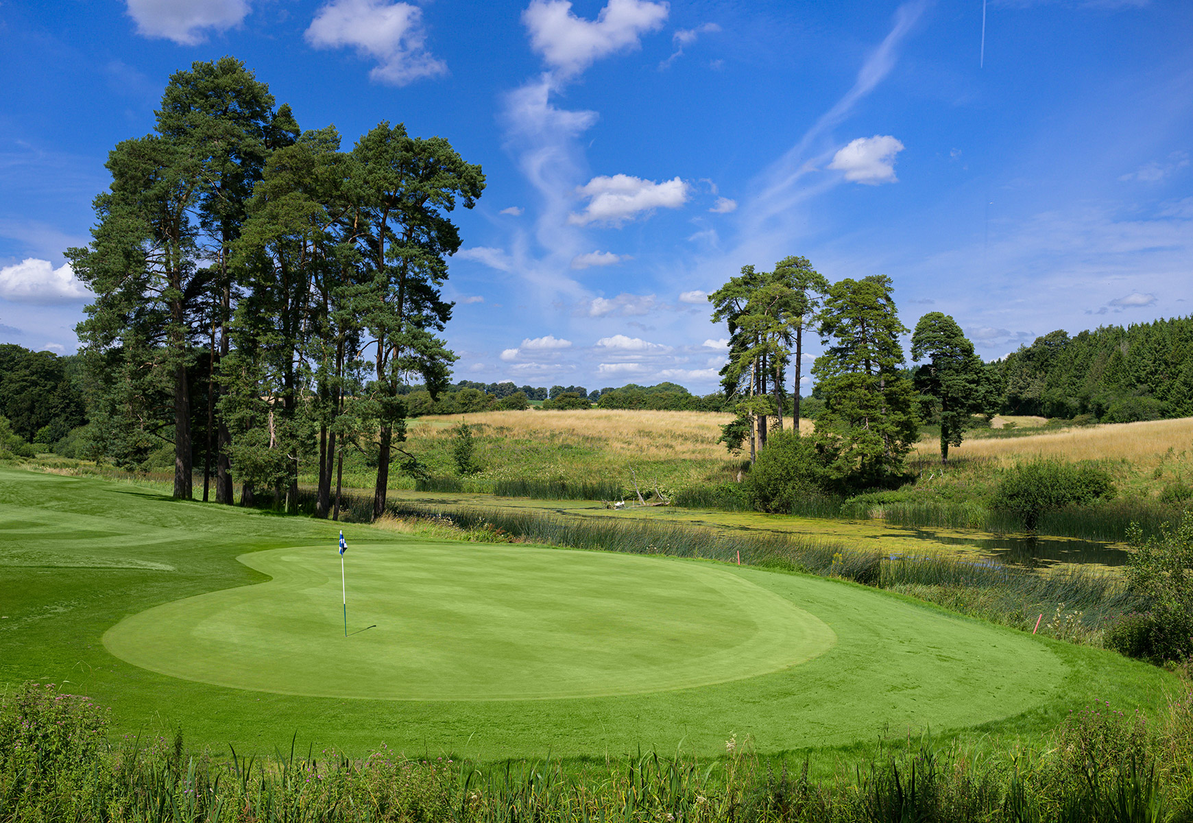 A golfer takes a swing on a vibrant green course, showcasing skill and concentration amidst a sunny backdrop.